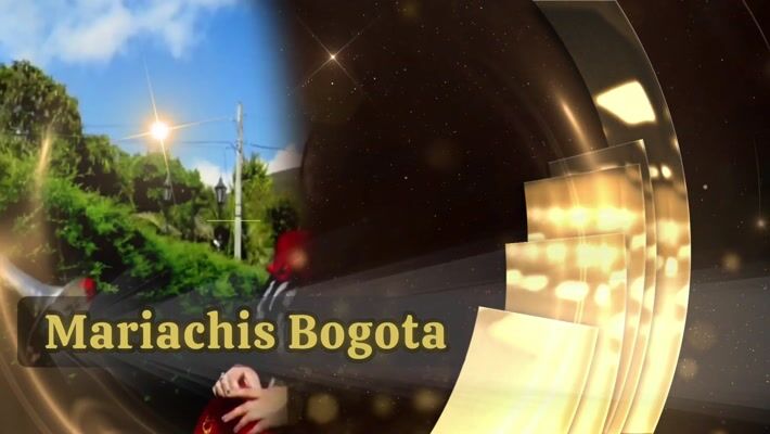 Vista previa: Mariachis Bogotá - Serenatas en vivo